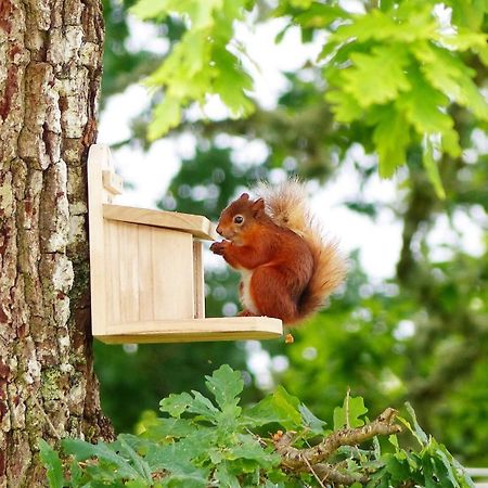 Blarghour Farm Cottages Ardchonnell エクステリア 写真