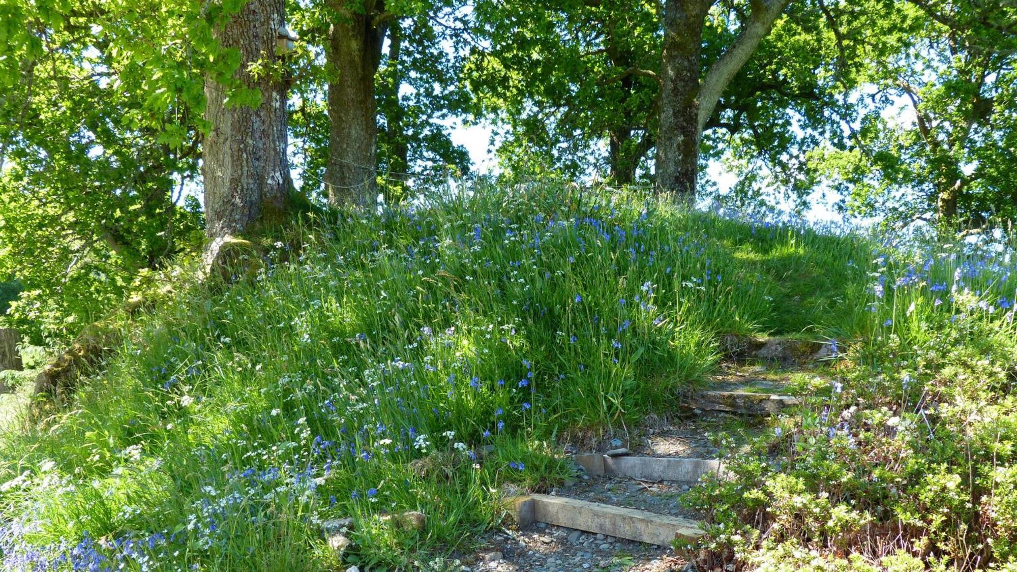 Blarghour Farm Cottages Ardchonnell エクステリア 写真